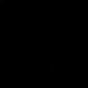 Meet your Posher, Shane